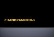 Chandramukhi 2 pitch presentation ( In film Branding Opportunity)