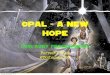 Opal a new_hope
