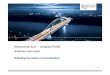Nemetschek Scia company profile (v 01072013)