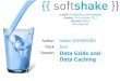 soft-shake.ch - Data grids and Data Caching