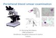 05 peripheral blood smear examination