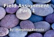 Field assignment part 1