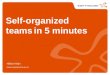 Self-organized teams in 5 minutes | Håkan Kleijn | LTG-18