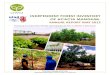 Greenwood Management acacia forestry report