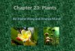 Introduction to Plants PPT