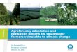 Agroforestry adaptation and mitigation options for smallholder farmers vulnerable to climate change. Brenda Lin