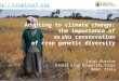 Crop diversity and climate change adaptation