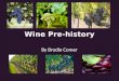 Wine Pre History