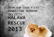 Halawa Rescue