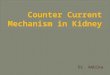 Counter current mechanism in kidney