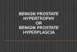 Benign Prostate Hypertrophy for nursing students
