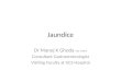 A case based approach to Jaundice