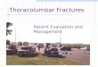 14 thoracolumbar fractures