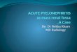 Pyelonephritis slide share