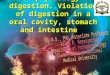 Pathophysiology of digestion. Violation of digestion in a stomach and intestine