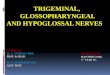 Trigeminal nerve, Glossopharyngeal and Hypoglossal nerves
