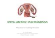 Intrauterine Insemination - Physicians Training Module