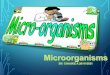Microorganisms 120830082657-phpapp02485