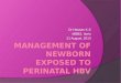 Management of hbv exposed infants