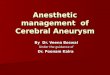 Anesthesia for cerebral aneurysm repair