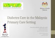 Diabetes care in the Malaysia primary care setting, MDES 2014
