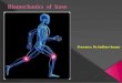 knee biomechanics