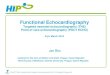 Functional Echocardiography. Targeted neonatal echocardiography (TNE). Point of care echocardiography (POCT ECHO)