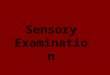 2nd year ospe ( sensory   motor - special sense )