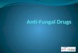 Pharmacology: Anti fungal drugs flashcards