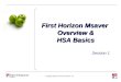 Msaver & Hsa Basics1
