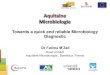 Fatima M'zali / Towards a quick and reliable microbiology diagnostic