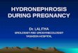 Hydro nephrosis during pregnancy