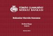 Türkiye Cumhuriyeti Merkez Bankası Başkanı Erdem Başçı'nın Haziran 2014 Bakanlar Kurulu Sunumu