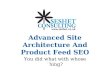 Advanced Site Architecture And Product Feed SEO