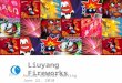 Liuyang Fireworks AGM Presentation