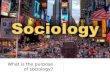 Midterm Sociology Study Guide
