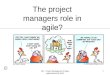 Project Management in Agile Organizations - The Project Managers Role