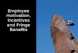 Employee motivation,incentives and fringe benefits