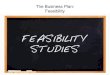 The Business Plan: Feasibility Study for Entrepreneurs
