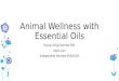 Animal Wellness with Essential Oils