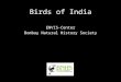 Birds of india