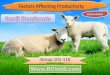 Factors Affecting the Productivity of Small Ruminants