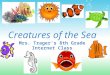 Creatures of the Sea Presentation