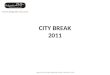 City Break offer Belgrade VIP 2011