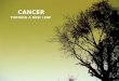 T07 0549066 Cancer: Turning a New Leaf