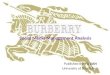 Burberry   university of strathclyde
