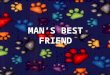 Man's best friend