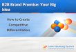 B2B Brand Promise and Big Idea