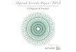 Digital Trends Report 2013