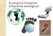 Ecological and carbon footprint